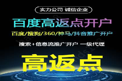 成功SEM托管案例解析