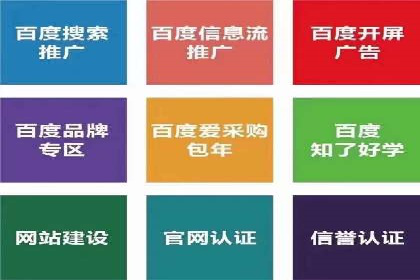 案例对比：不同竞价推广策略的优劣分析